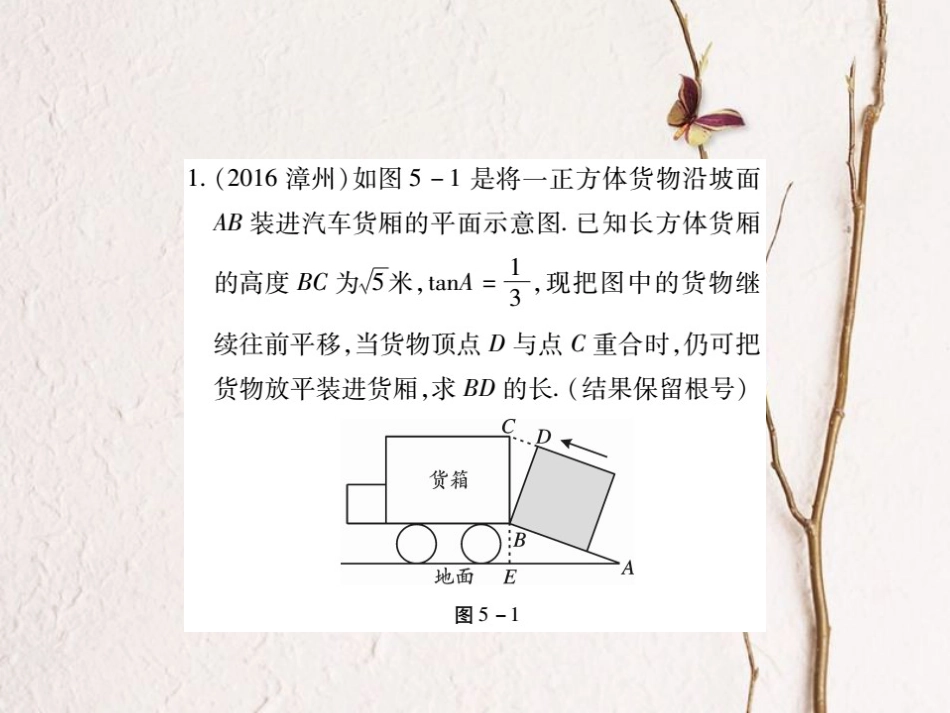 中考数学总复习 第二轮 中考专题提升 专题五 解直角三角形的应用型问题（练册本）课件[共16页]_第2页