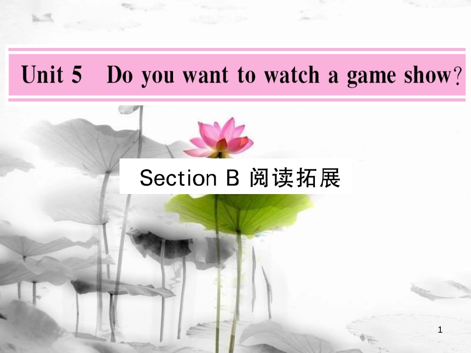 shkAAA八年级英语上册 Unit 5 Do you want to watch a game show Section B阅读拓展课件 （新版）人教新目标版_第1页