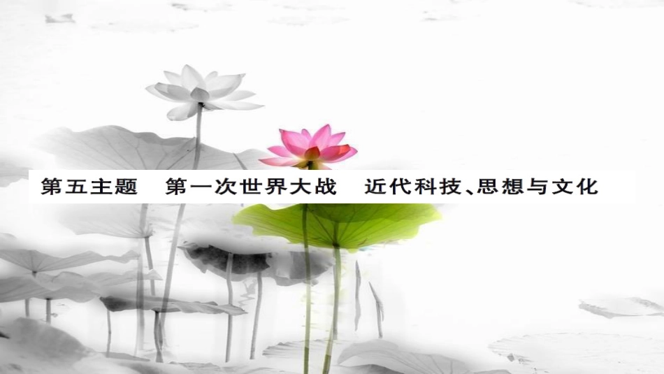 安徽省中考历史 基础知识夯实 模块五 世界近代史 第五主题 第一次世界大战、近代科技、思想与文化讲义课件[共14页]_第1页