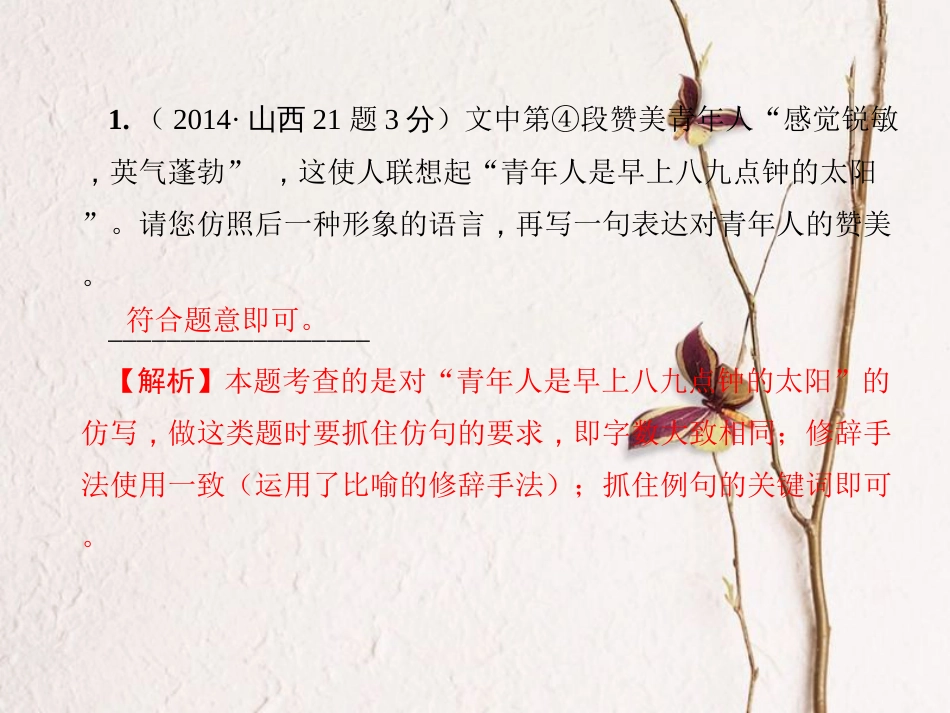 山西省中考语文 第1部分 基础 第五讲 修辞、仿写与对联课件_第3页