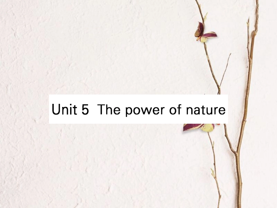 （全国）高考英语一轮复习 Unit 5 The power of nature课件 新人教选修6_第1页