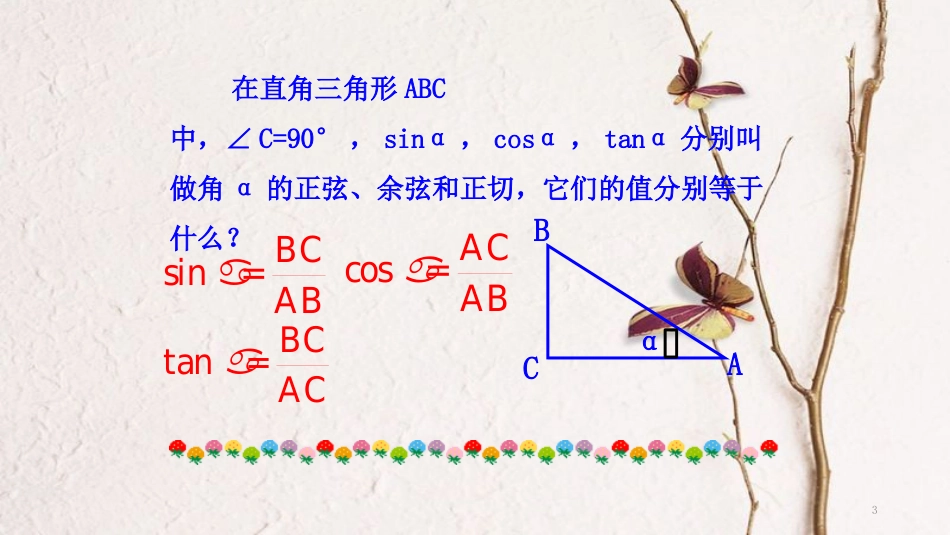 高中数学 第一章 三角函数 1.2.1 任意角的三角函数（1）课件1 新人教A版必修4_第3页