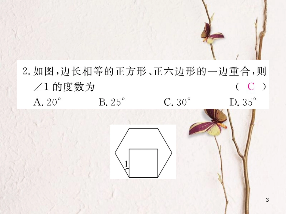 河北省中考数学 必考点专题 正多边形中的相关计算及规律问题课件_第3页