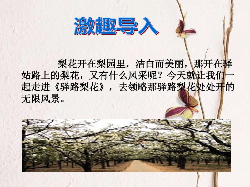 七年级语文下册 第四单元 14驿路梨花课件2 新人教版_第2页