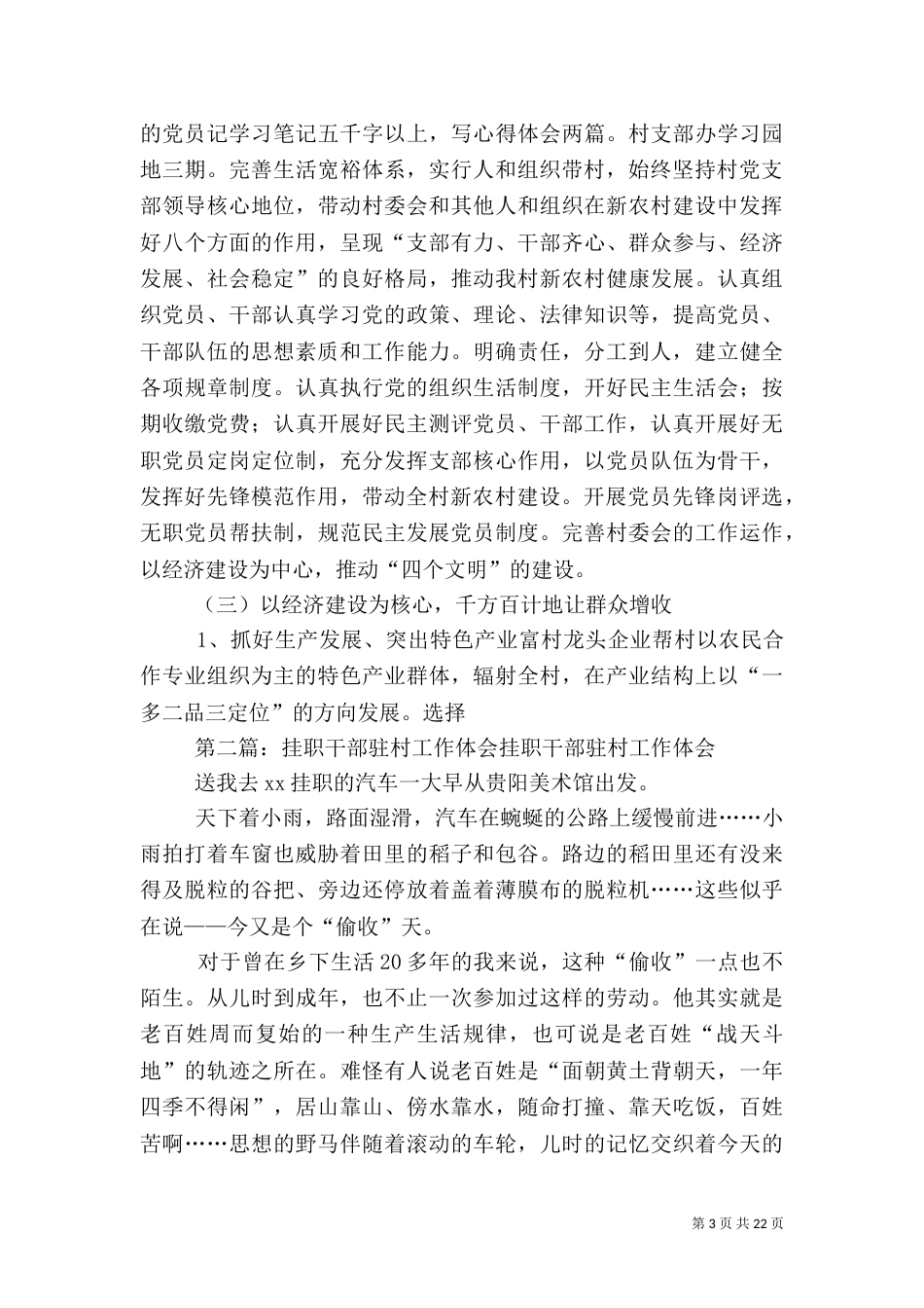 驻村挂职干部述职报告_第3页