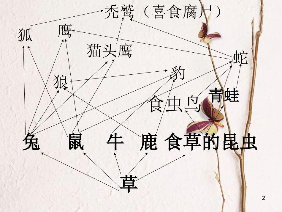 六年级科学上册 密切联系的生物界课件3 青岛版[共13页]_第2页