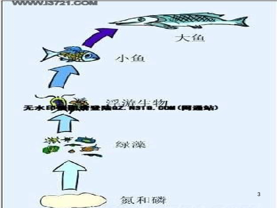 六年级科学上册 密切联系的生物界课件3 青岛版[共13页]_第3页