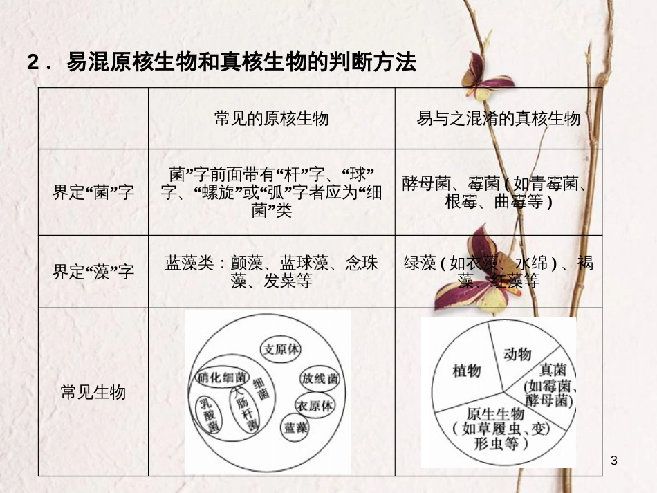 高考生物一轮复习 第1单元 走近细胞和组成细胞的分子 第1讲 走近细胞课件_第3页