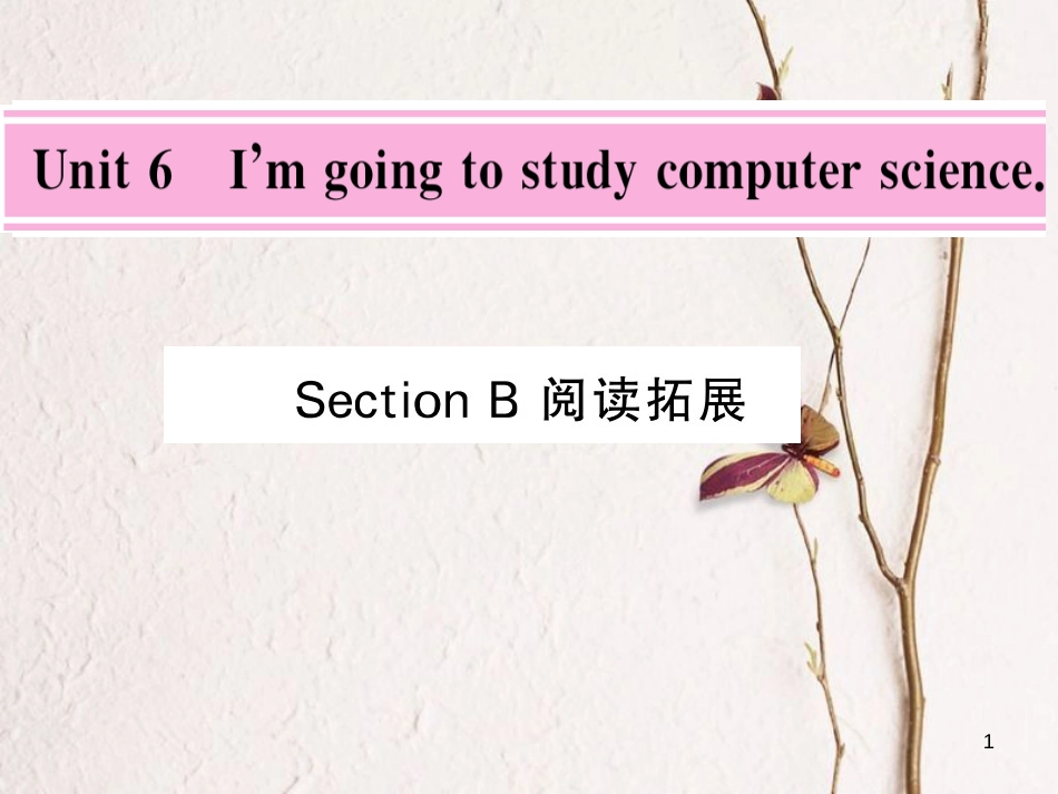 bxxAAA八年级英语上册 Unit 6 Im going to study computer science Section B阅读拓展课件 （新版）人教新目标版_第1页