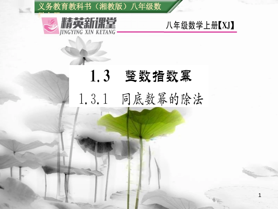 kjkAAA八年级数学上册 1.3.1 同底数幂的除法课件 （新版）湘教版_第1页