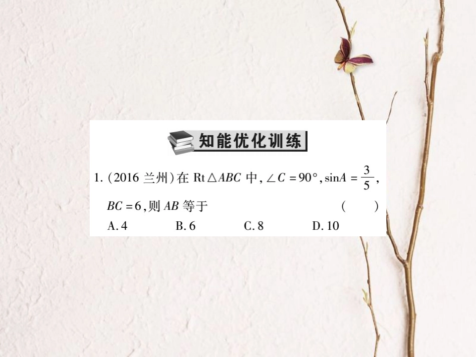 中考数学总复习 第一轮 基础知识复习 第七章 图形的变化 第4讲 解直角三角形（练册本）课件[共39页]_第2页