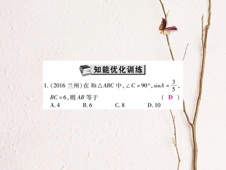 中考数学总复习 第一轮 基础知识复习 第七章 图形的变化 第4讲 解直角三角形（练册本）课件[共39页]_第3页