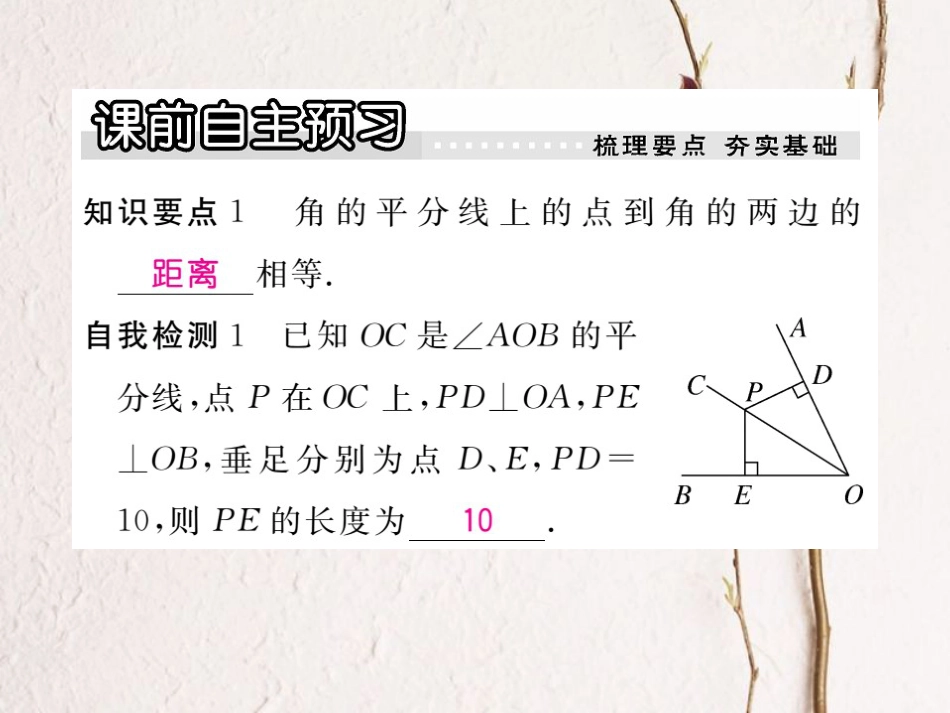 八年级数学上册 16.3 角的平分线习题课件 （新版）冀教版_第2页