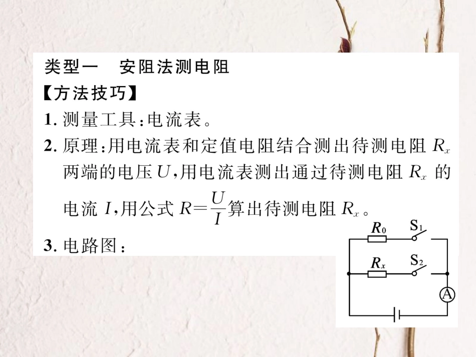 （黔西南地区）九年级物理全册 小专题4 巧测电阻课件 （新）新人教_第2页