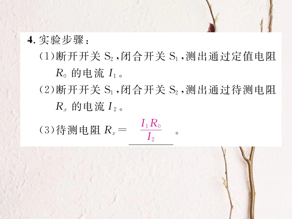 （黔西南地区）九年级物理全册 小专题4 巧测电阻课件 （新）新人教_第3页