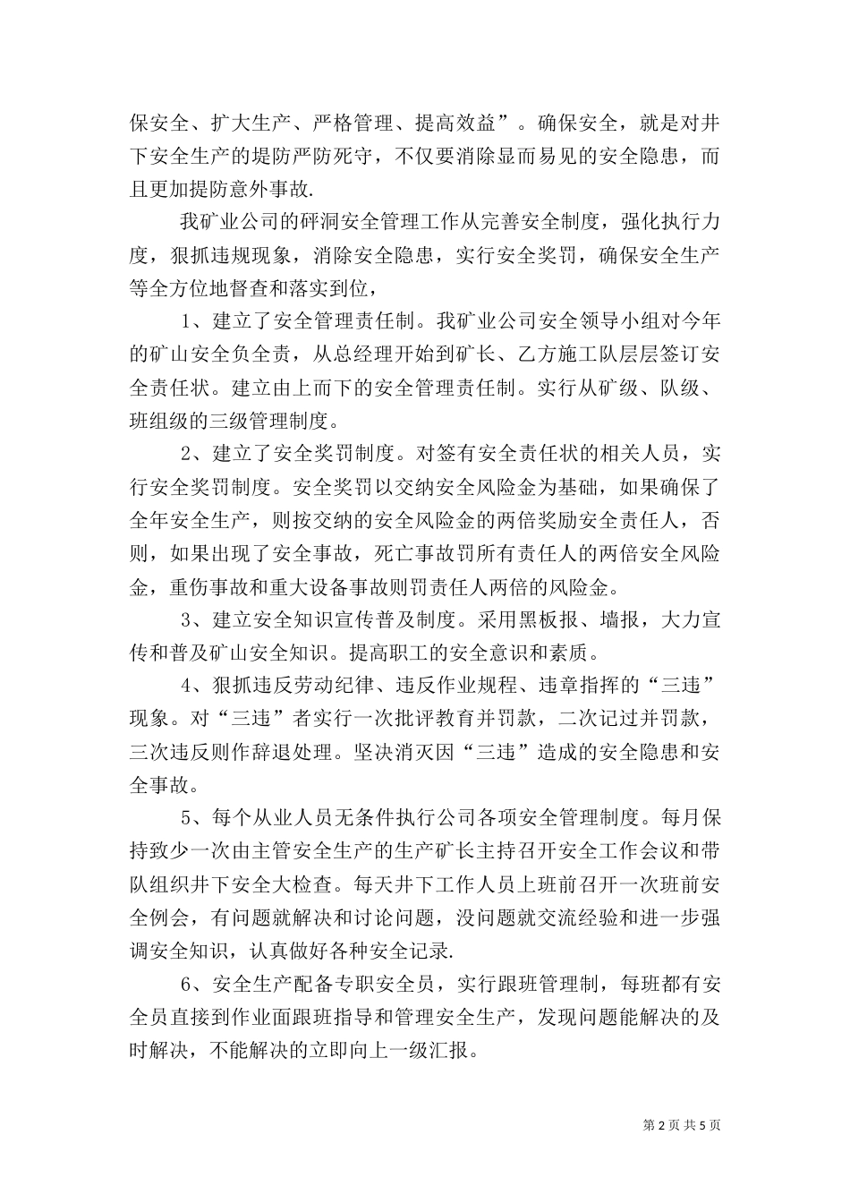 安全督查工作总结（四）_第2页