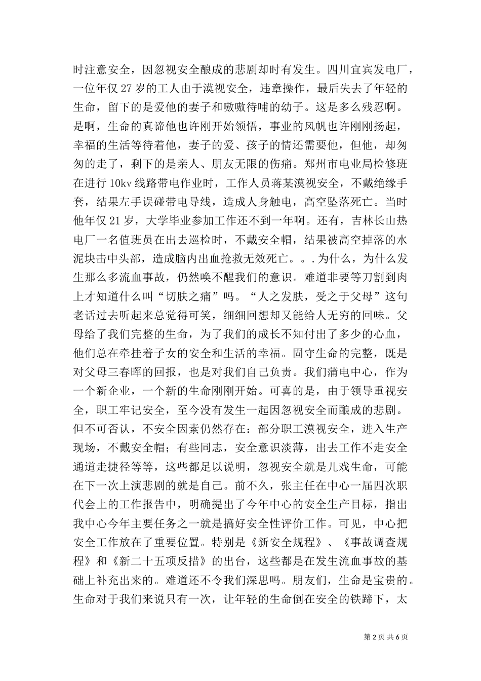 电力安全演讲稿大全（三）_第2页