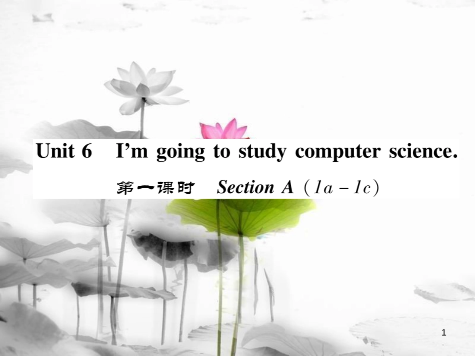 八年级英语上册 Unit 6 Im going to study computer science（第1课时）Section A（1a-1c）同步作业课件 （新版）人教新目标版_第1页