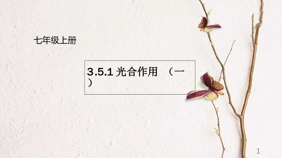 七年级生物上册 3.5.1 光合作用课件 （新版）北师大版[共23页]_第1页
