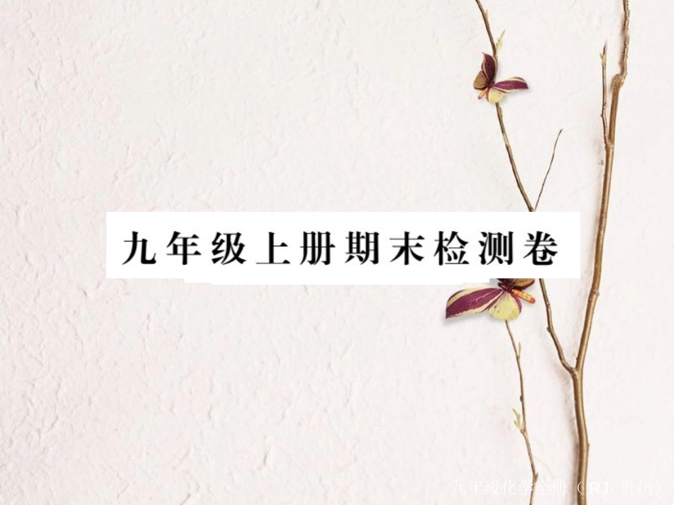 （贵州专）九年级化学上册 期末复习课件 （新）新人教版_第1页