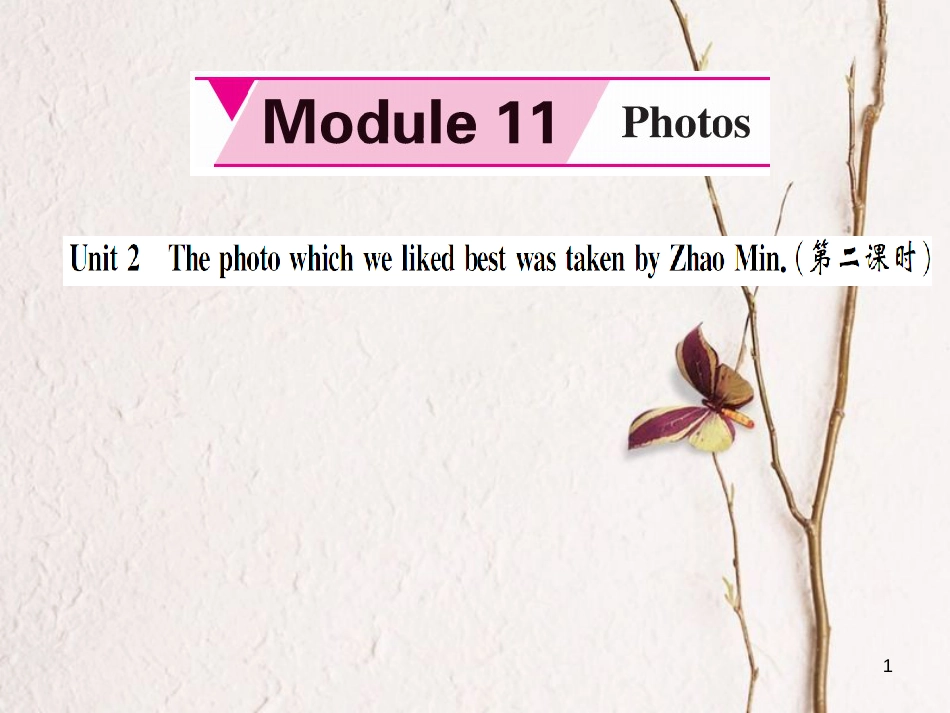 dkkAAA九年级英语上册 Module 11 Photos Unit 2 The photo which we liked best was taken by Zhao Min（第2课时）课件 （新版）外研版_第1页