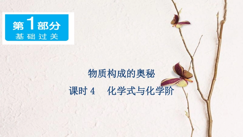 广东省中考化学 第一部分 基础过关 课时4 化学式与化学价课件_第1页