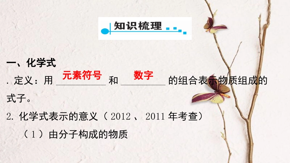 广东省中考化学 第一部分 基础过关 课时4 化学式与化学价课件_第2页