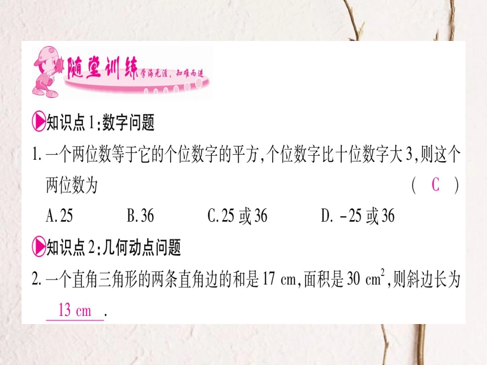 九年级数学上册 2.6 应用一元二次方程习题课件 （新版）北师大版_第3页