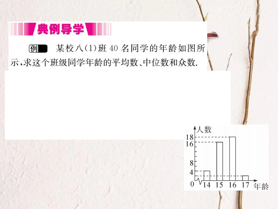 八年级数学上册 6.3 从统计图分析数据的集中趋势（小册子）课件 （新版）北师大版_第2页