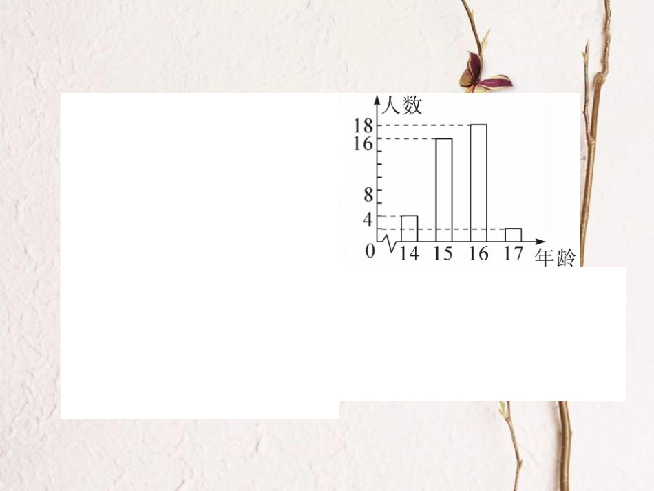 八年级数学上册 6.3 从统计图分析数据的集中趋势（小册子）课件 （新版）北师大版_第3页