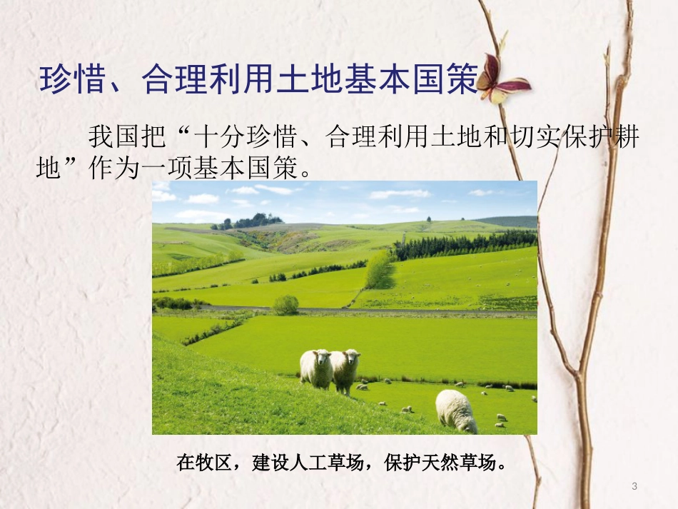 七年级地理下册 第四章 第二节 土地资源与农业 珍惜、合理利用土地基本国策课件 中图版[共4页]_第3页
