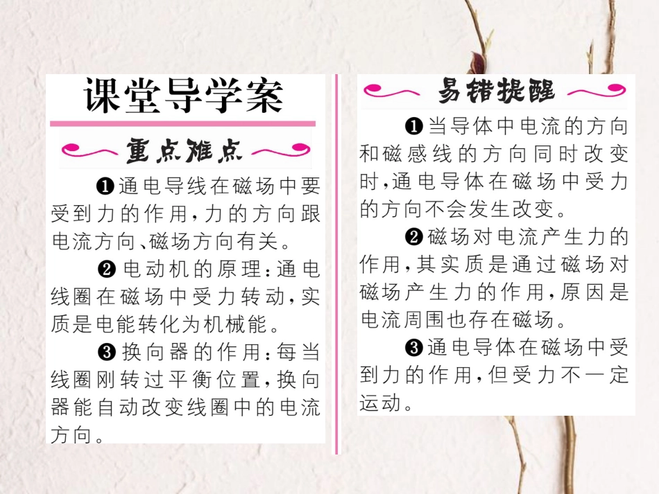 （黔西南地区）九年级物理全册 第20章 电与磁 第4节 电动机习题课件 （新）新人教_第2页