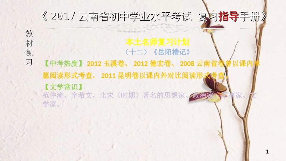 云南省中考语文 专题一 文言文阅读 本土名师复习计划（十二）《岳阳楼记》复习课件_第1页