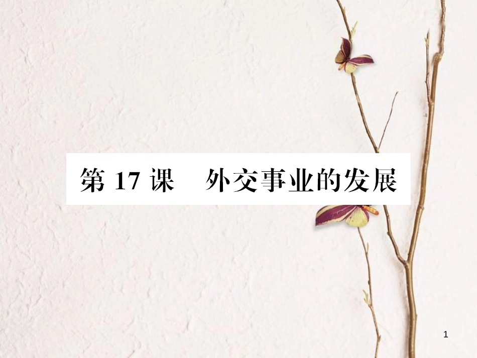 八年级历史下册 第17课 外交事业的发展习题课件 新人教版_第1页