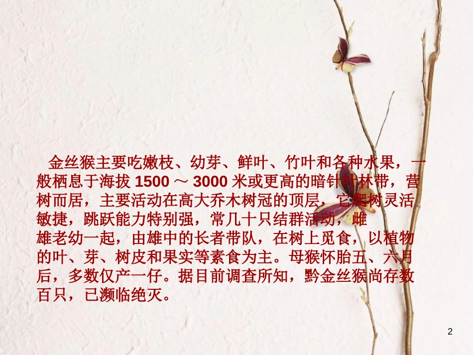 六年级科学上册 珍稀动植物课件7 青岛版[共13页]_第2页