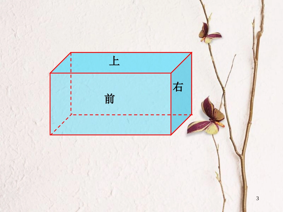 六年级数学上册 1.2 长方体和正方体的表面积课件3 苏教版[共23页]_第3页