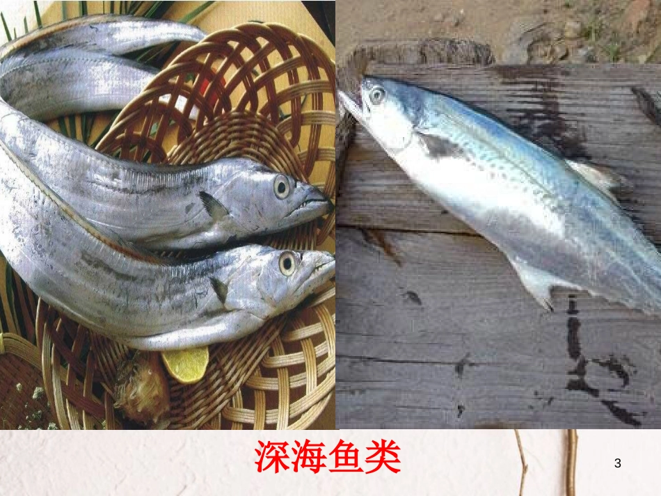 八年级物理下册 9.2 液体的压强课件 （新版）新人教版[共32页]_第3页