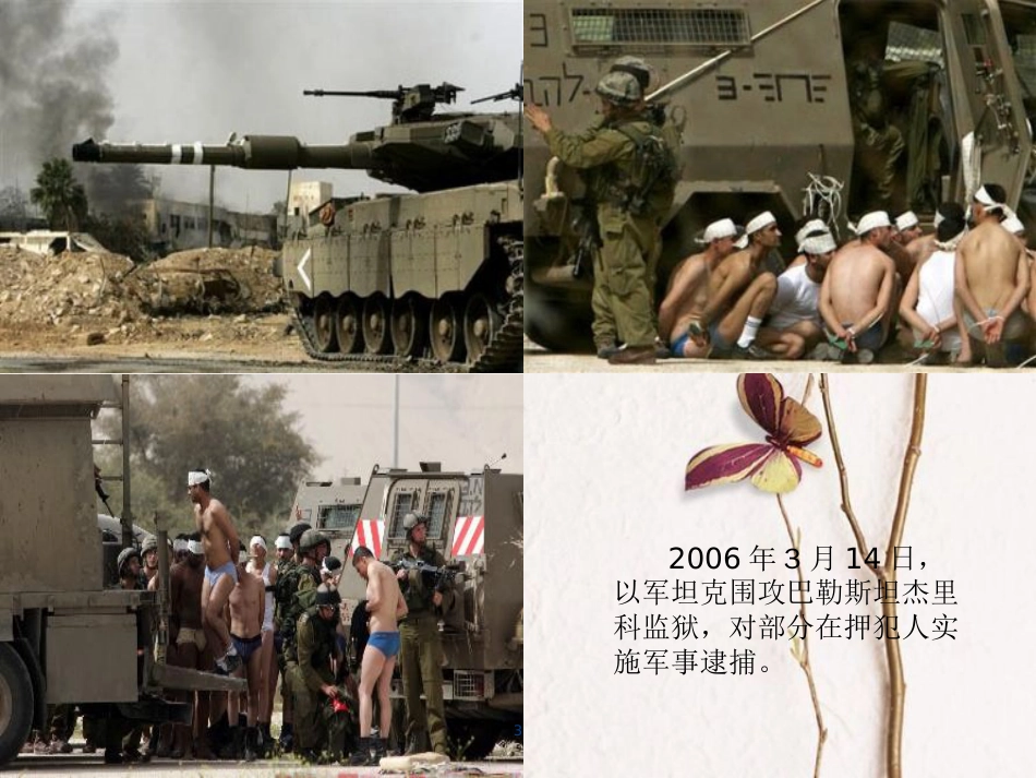 九年级历史下册 第六单元 第16课 中东地区的矛盾和冲突课件2 岳麓版[共29页]_第3页