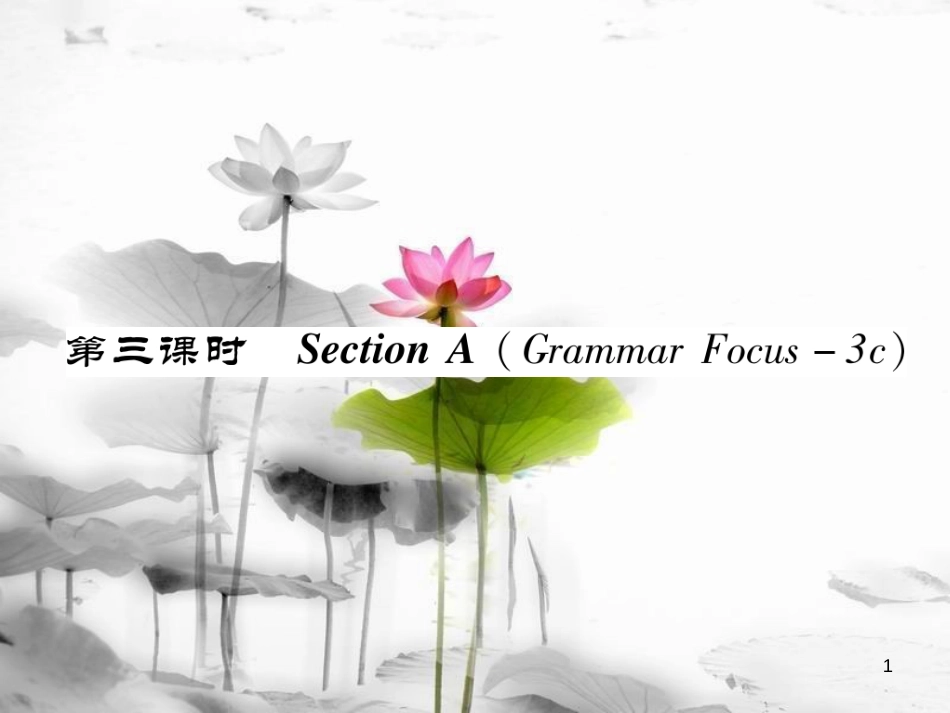 八年级英语上册 Unit 5 Do you want to watch a game show（第3课时）Section A（Grammar Focus-3c）同步作业课件 （新版）人教新目标版_第1页