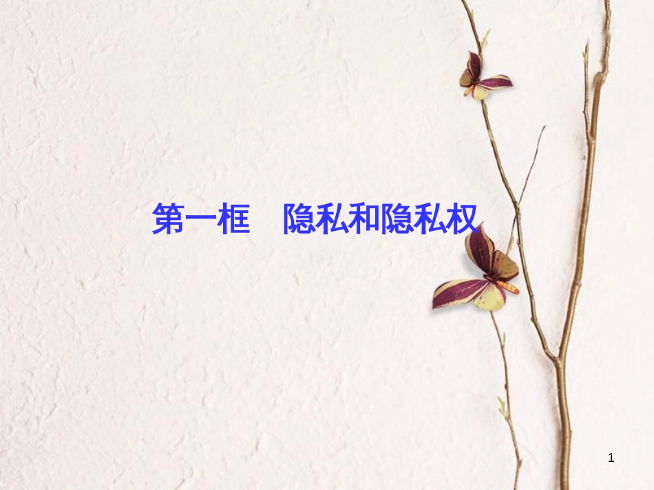 八年级政治下册 第二单元 我们的人身权利 第五课 隐私受保护 第一框 隐私和隐私权课件 新人教版_第1页