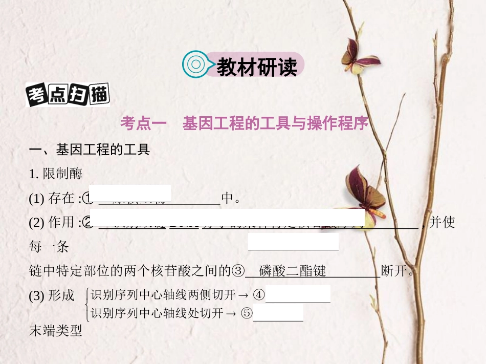 （新课标）高考生物一轮复习 现代生物科技专题 第36讲 基因工程（包括PCR技术）课件（选修3）[共48页]_第2页