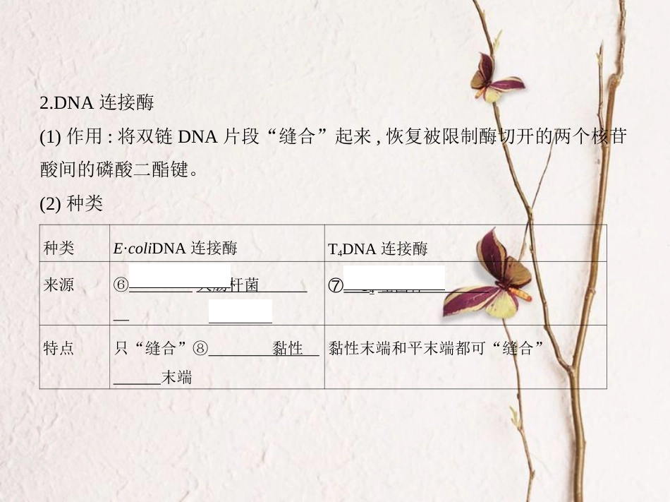 （新课标）高考生物一轮复习 现代生物科技专题 第36讲 基因工程（包括PCR技术）课件（选修3）[共48页]_第3页