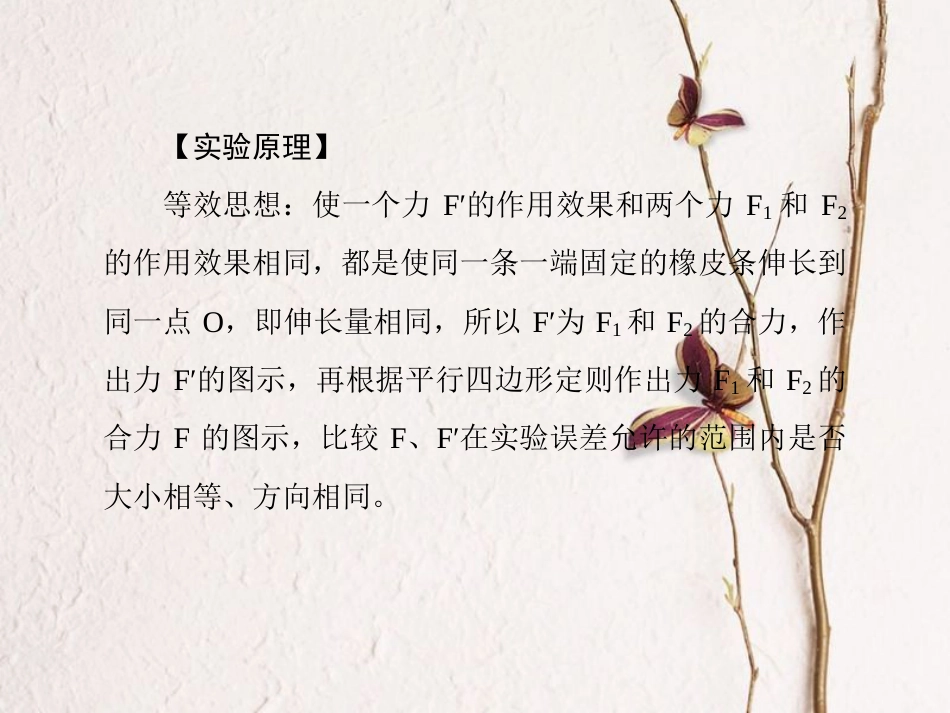 （新课标）高考物理一轮复习 第二章 相互作用 实验三 验证力的平行四边形定则课件_第2页