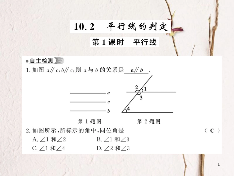 七年级数学下册 10.2 平行线的判定 第1课时 平行线课件 （新版）沪科版_第1页