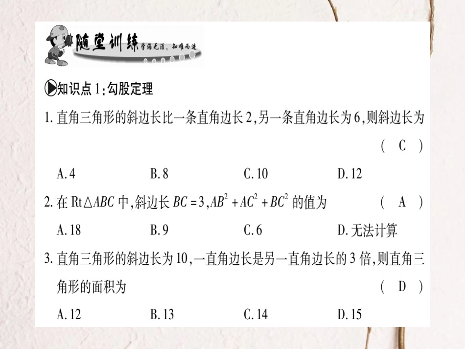 八年级数学上册 14.1 勾股定理习题课件 （新版）华东师大版[共41页]_第2页