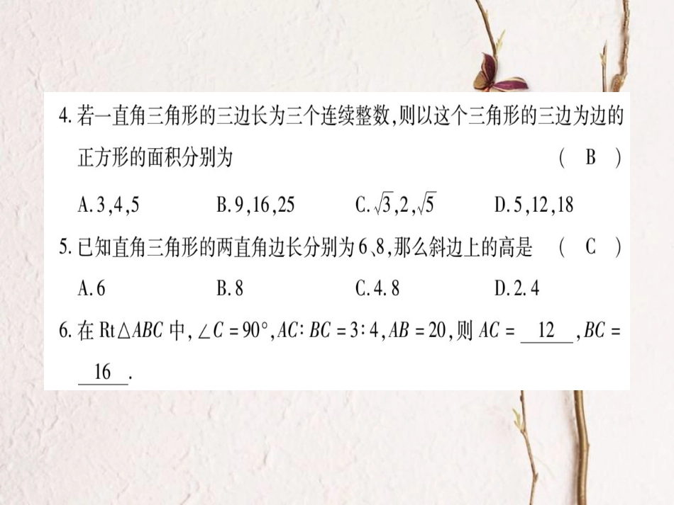 八年级数学上册 14.1 勾股定理习题课件 （新版）华东师大版[共41页]_第3页