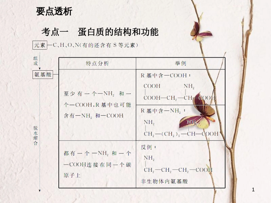 高考生物一轮复习 第1单元 走近细胞和组成细胞的分子 第3讲 蛋白质课件_第1页