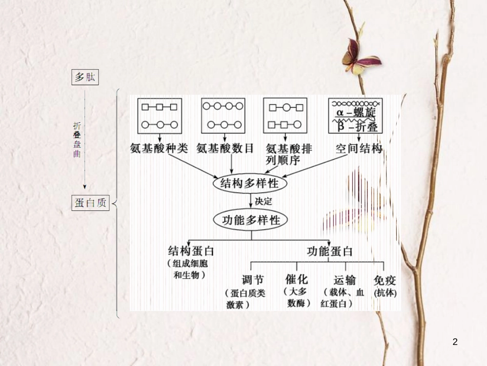 高考生物一轮复习 第1单元 走近细胞和组成细胞的分子 第3讲 蛋白质课件_第2页