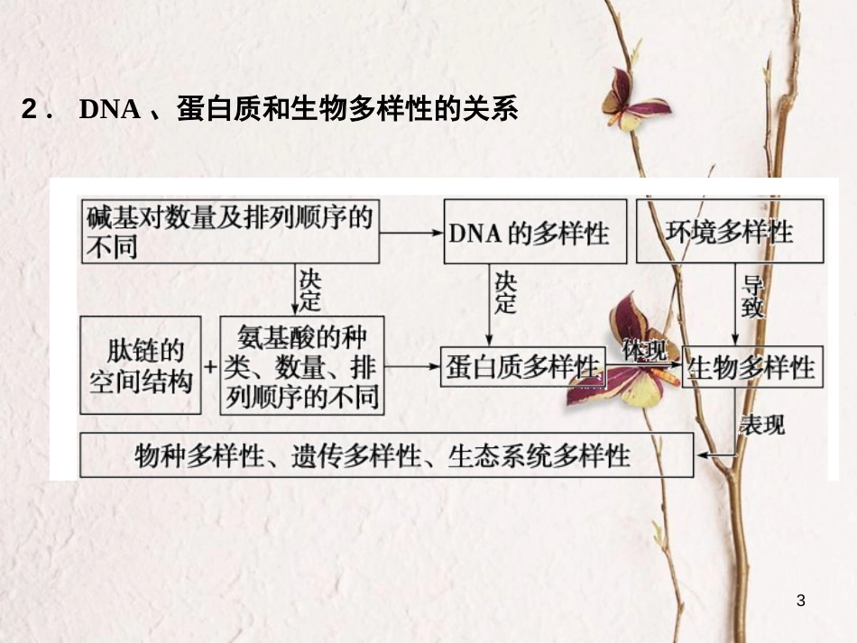 高考生物一轮复习 第1单元 走近细胞和组成细胞的分子 第3讲 蛋白质课件_第3页