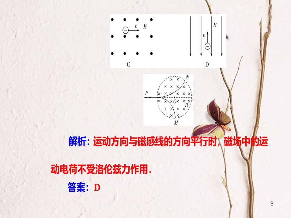 高考物理一轮复习 专题七 电磁现象与规律 考点4 安培力、洛伦兹力课件_第3页